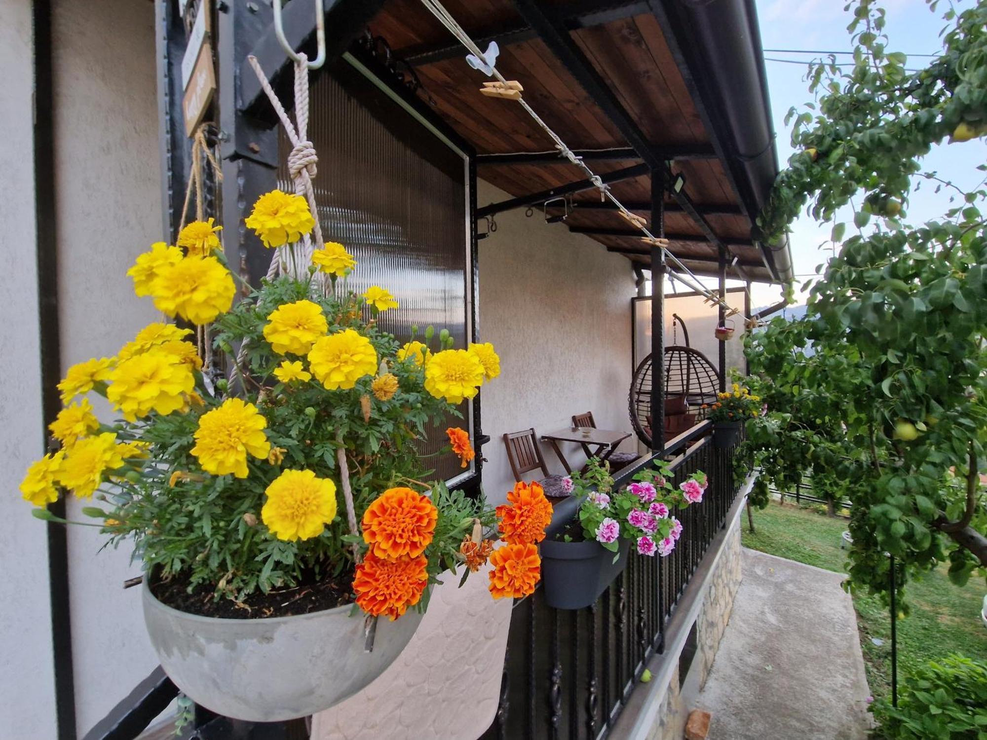 Appartamento Garden Of Dreams & Free Private Parking SJJ Esterno foto